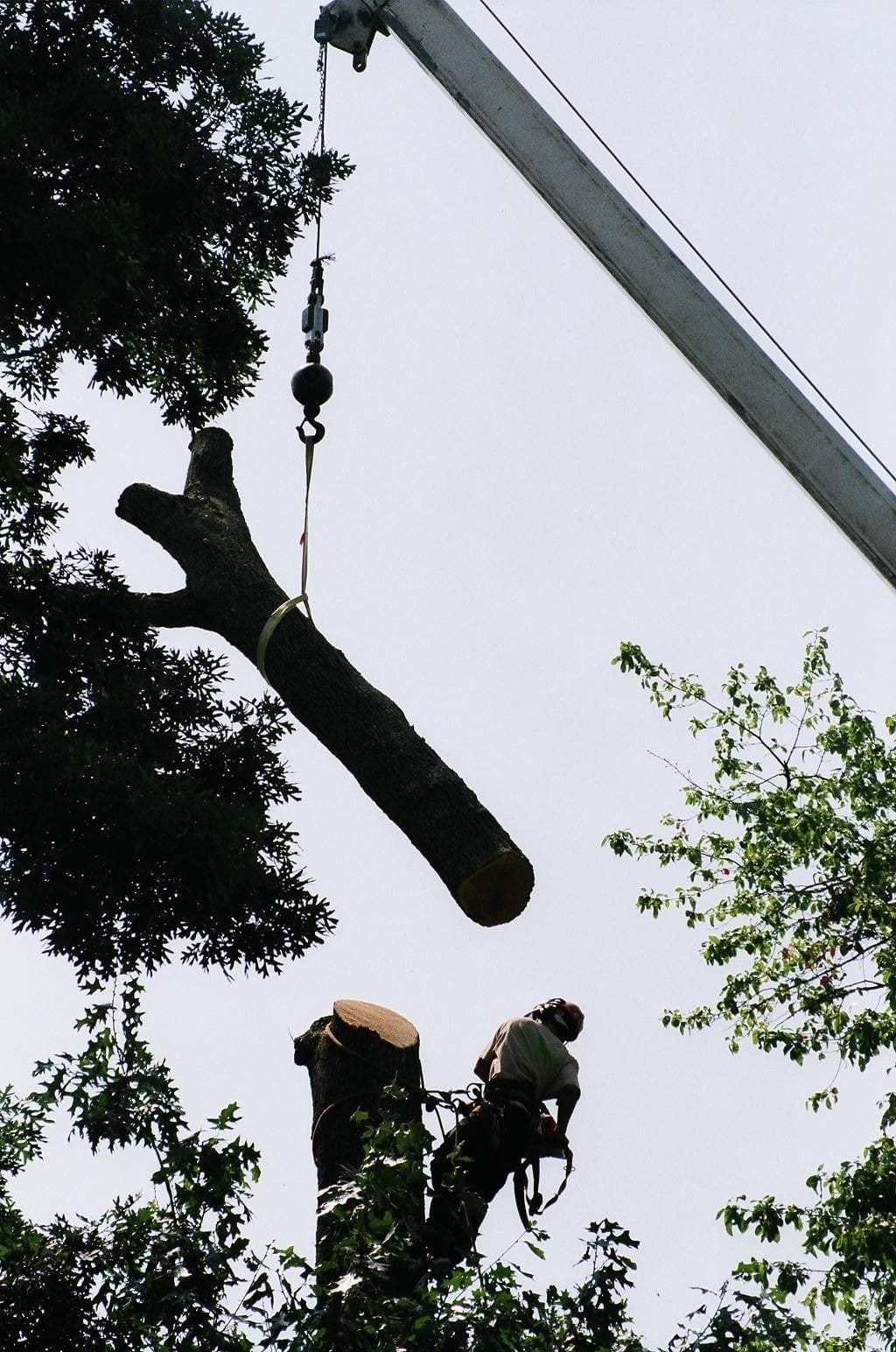 Rope Lifting The Chop Wood 1