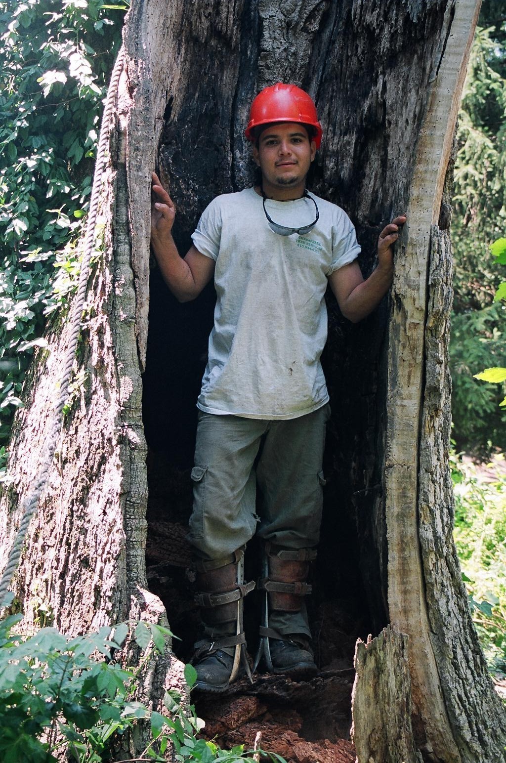 Man Standing In The Tree