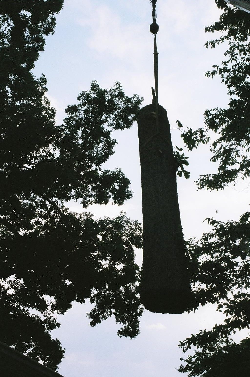 Rope Lifting The Chop Wood 3