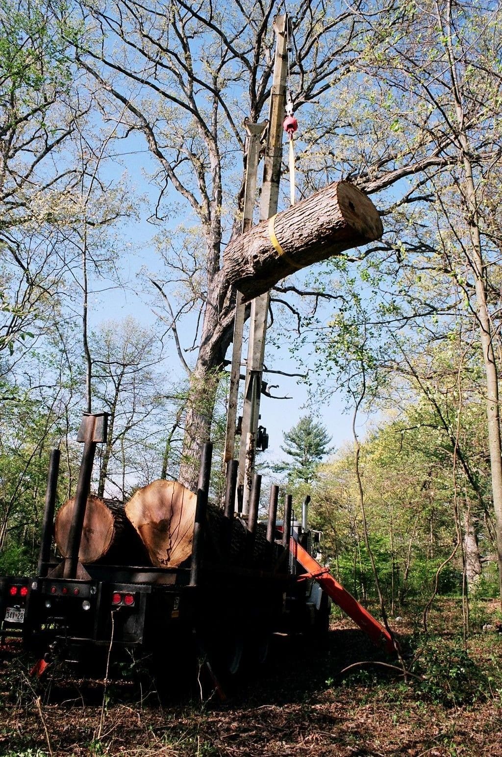 Rope Lifting The Chop Wood 2